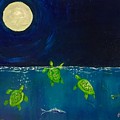  Tortuga Moon
